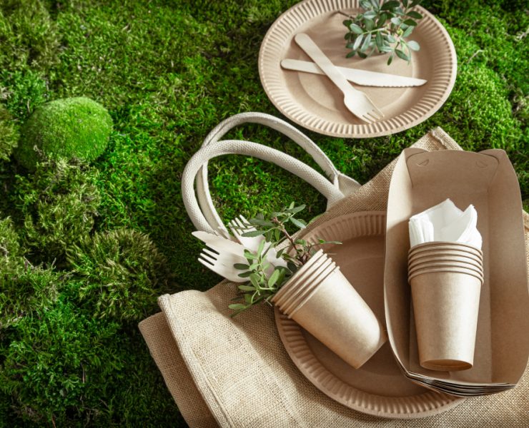 environmentally-friendly-disposable-recyclable-tableware